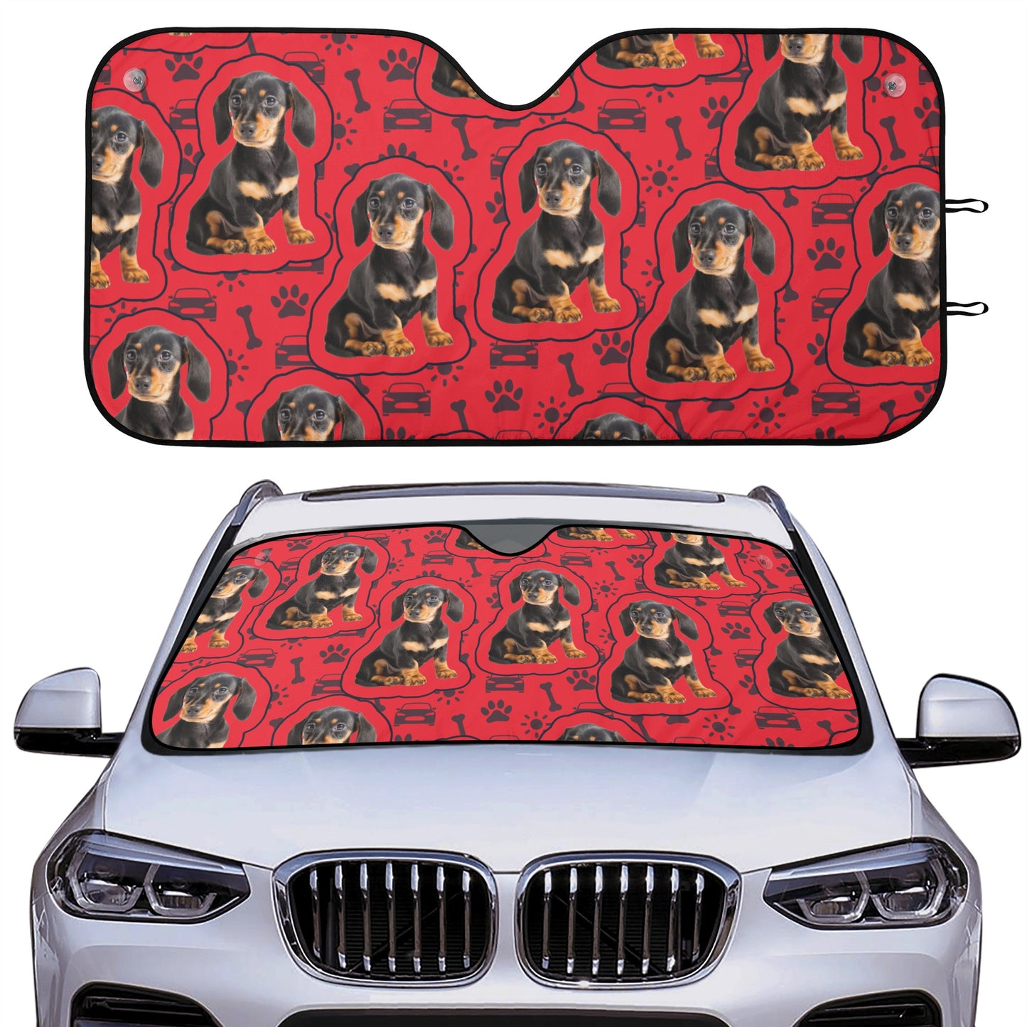 Parasol de coche personalizado con foto de Dachshund