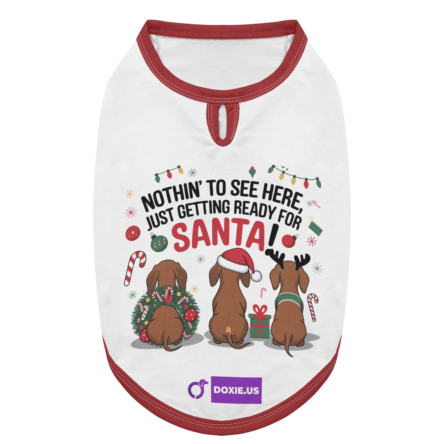 Buddy - Shirt for Dachshunds