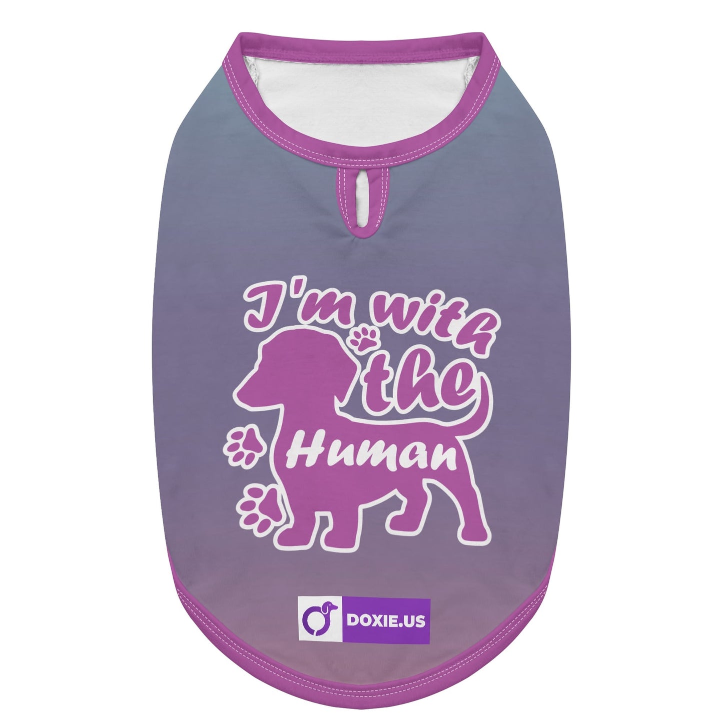 I'm with the human - Shirt for Dachshunds