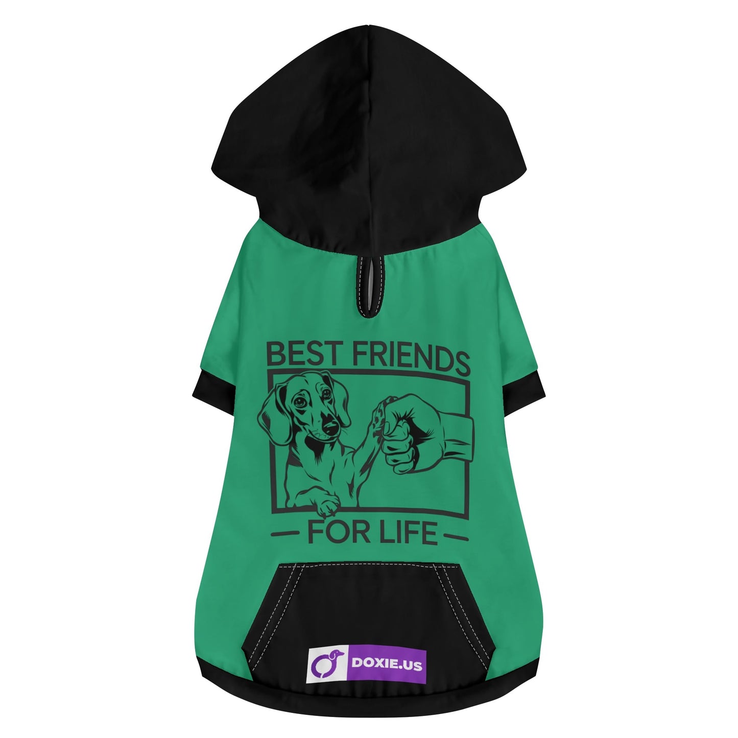 Teddy - Hoodies for Dachshunds