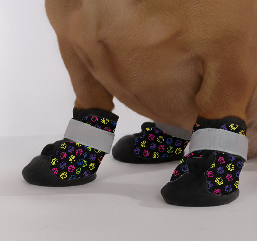 Rudy – Premium Dachshund Winter Booties