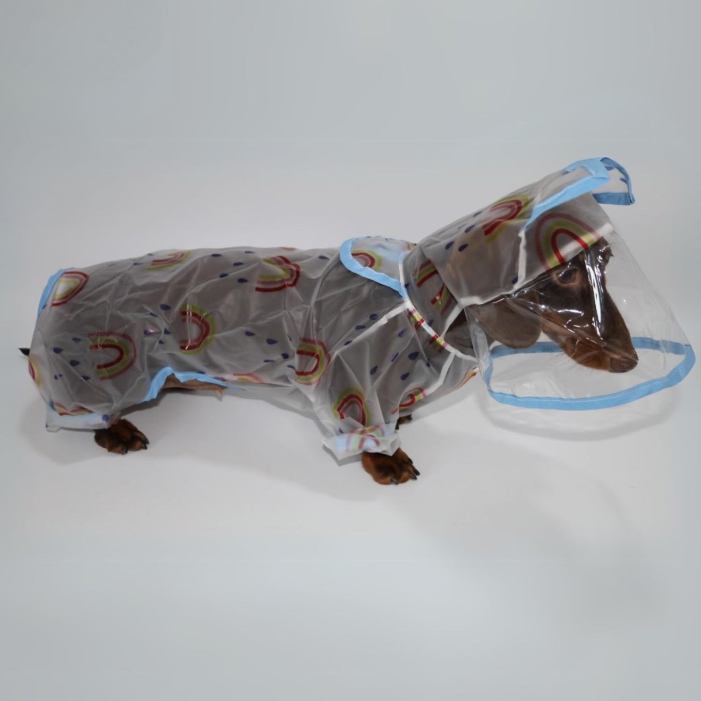 Dachshund Raincoat with Hat – Four-Legged Transparent Rain Jacket