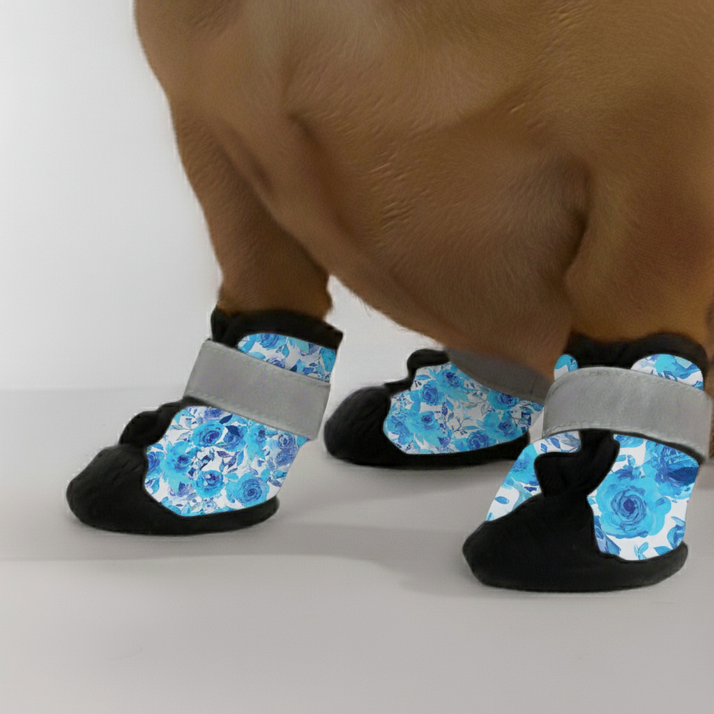 Frank – Premium Dachshund Winter Booties