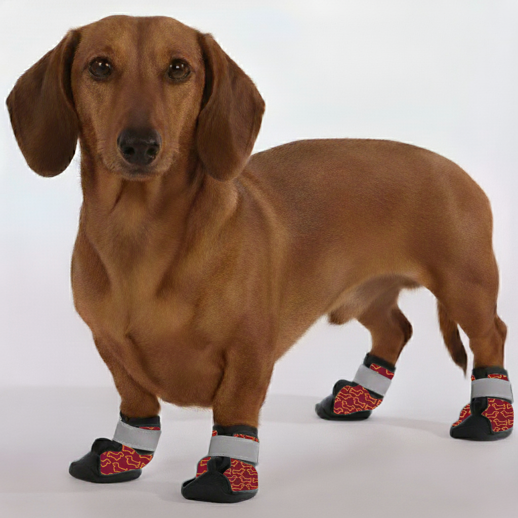 Roxie – Premium Dachshund Winter Booties