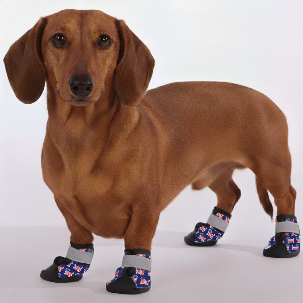 Hank – Premium Dachshund Winter Booties