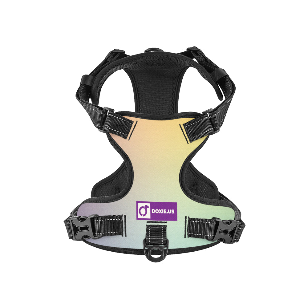 Simone - No-Pull Dachshund Dog Harness