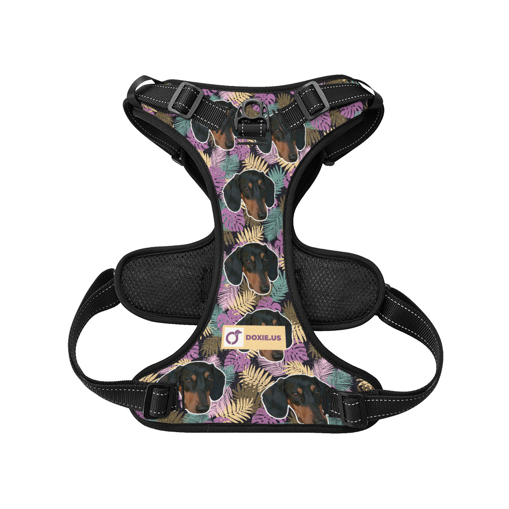 Earl - Personalized No-Pull Dachshund Dog Harness