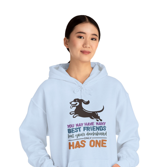 Steve - Sudadera con capucha unisex