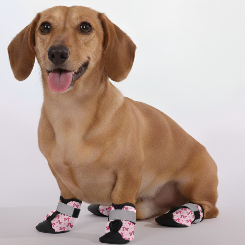 Charlie – Premium Dachshund Winter Booties