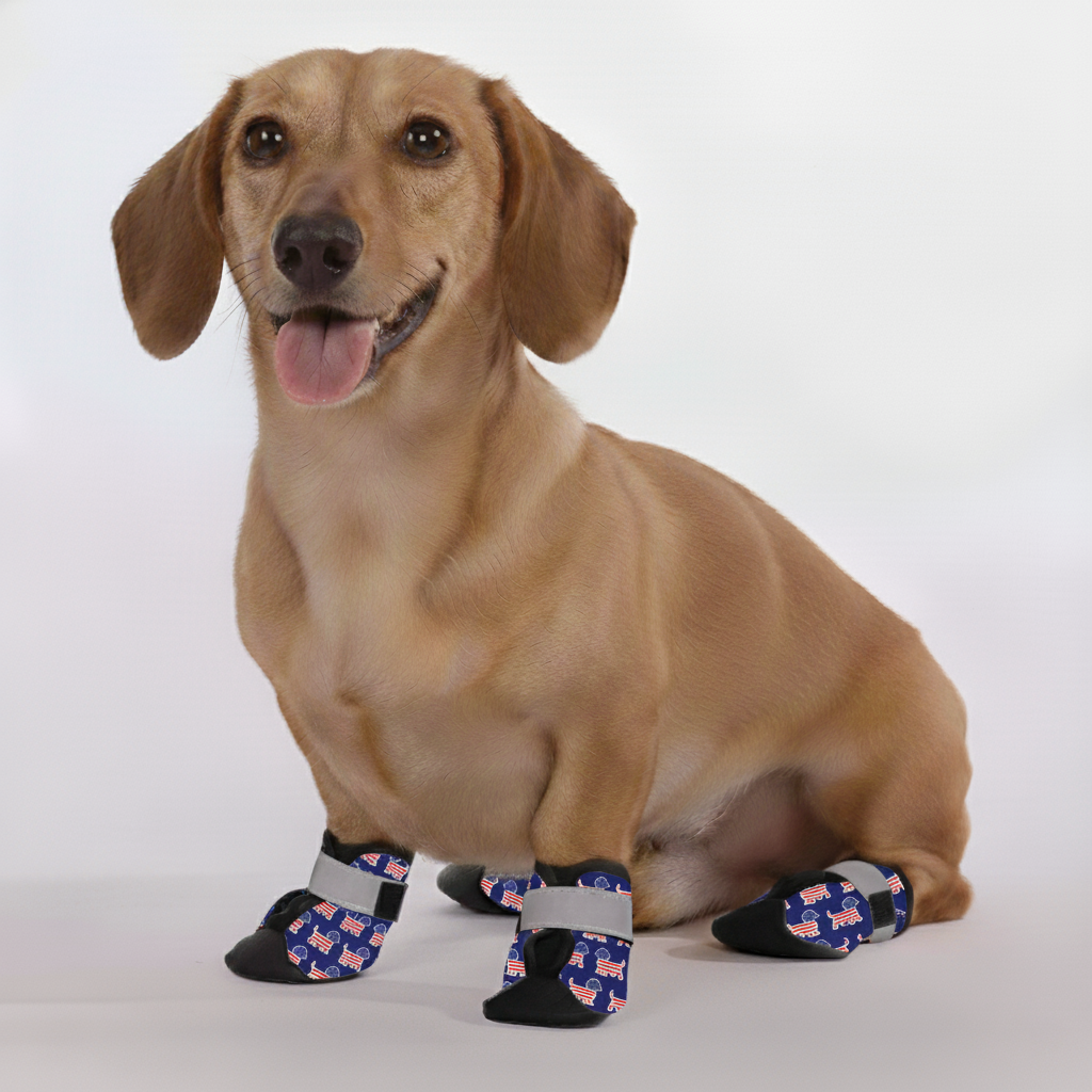 Hank – Premium Dachshund Winter Booties
