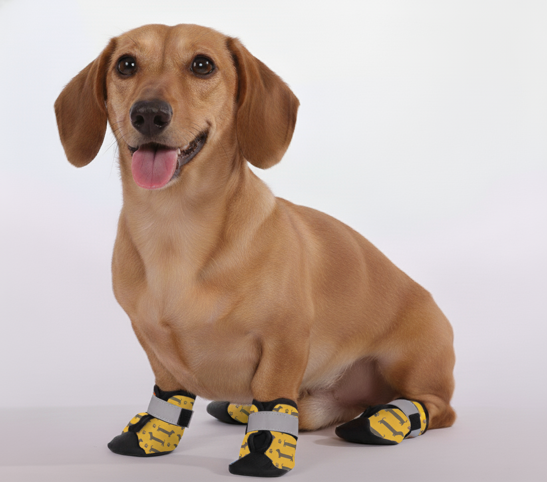 Miles – Premium Dachshund Winter Booties