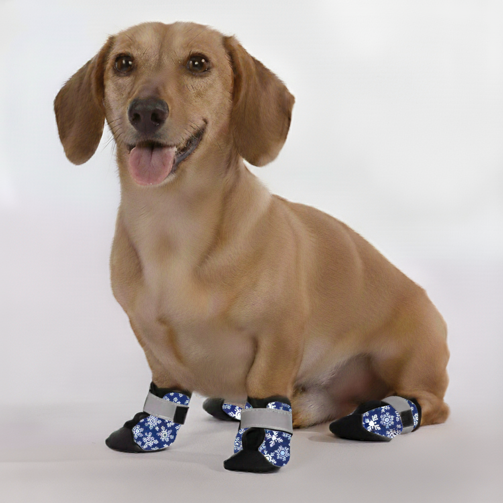 Molly – Premium Dachshund Winter Booties