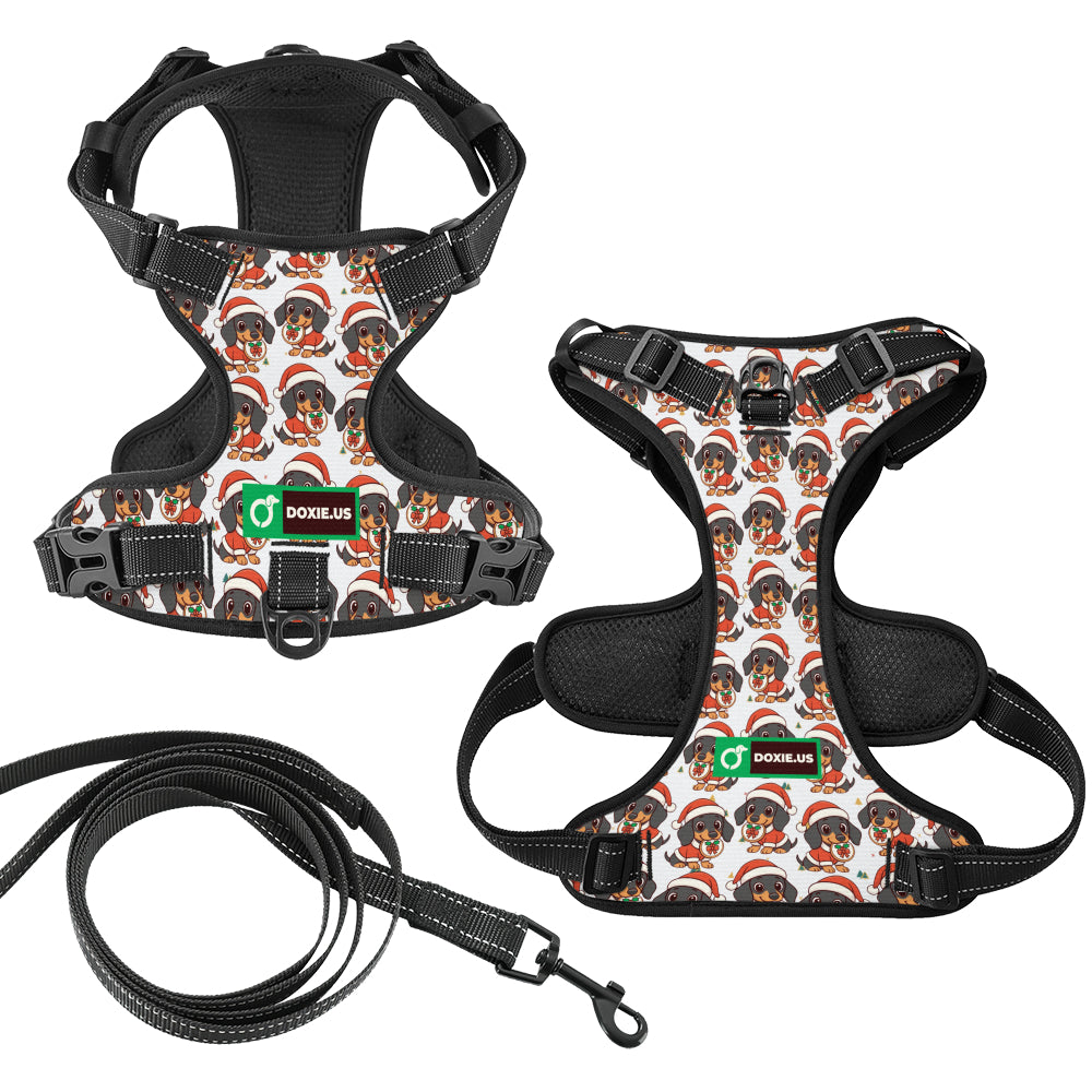 Kevin - No-Pull Dachshund Dog Harness
