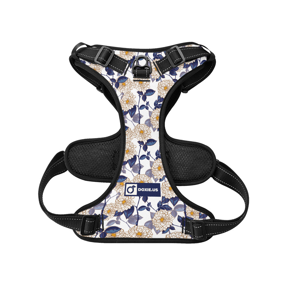 Joey - No-Pull Dachshund Dog Harness