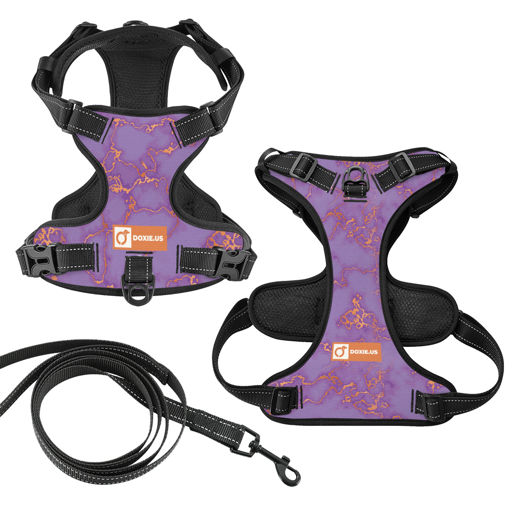 Buster - No-Pull Dachshund Dog Harness