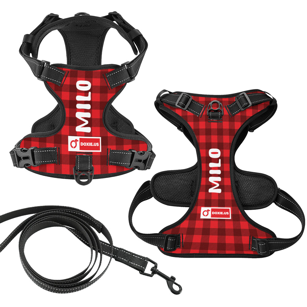 Lyra - Personalized No-Pull Dachshund Dog Harness