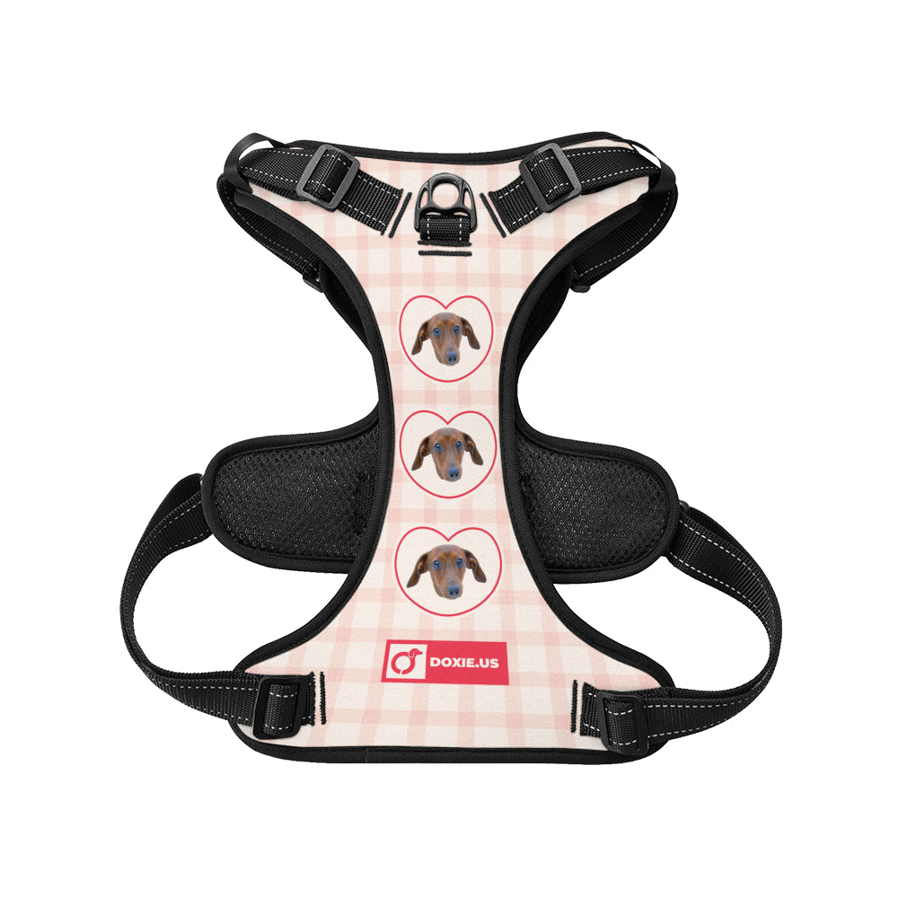 Juno - Personalized No-Pull Dachshund Dog Harness