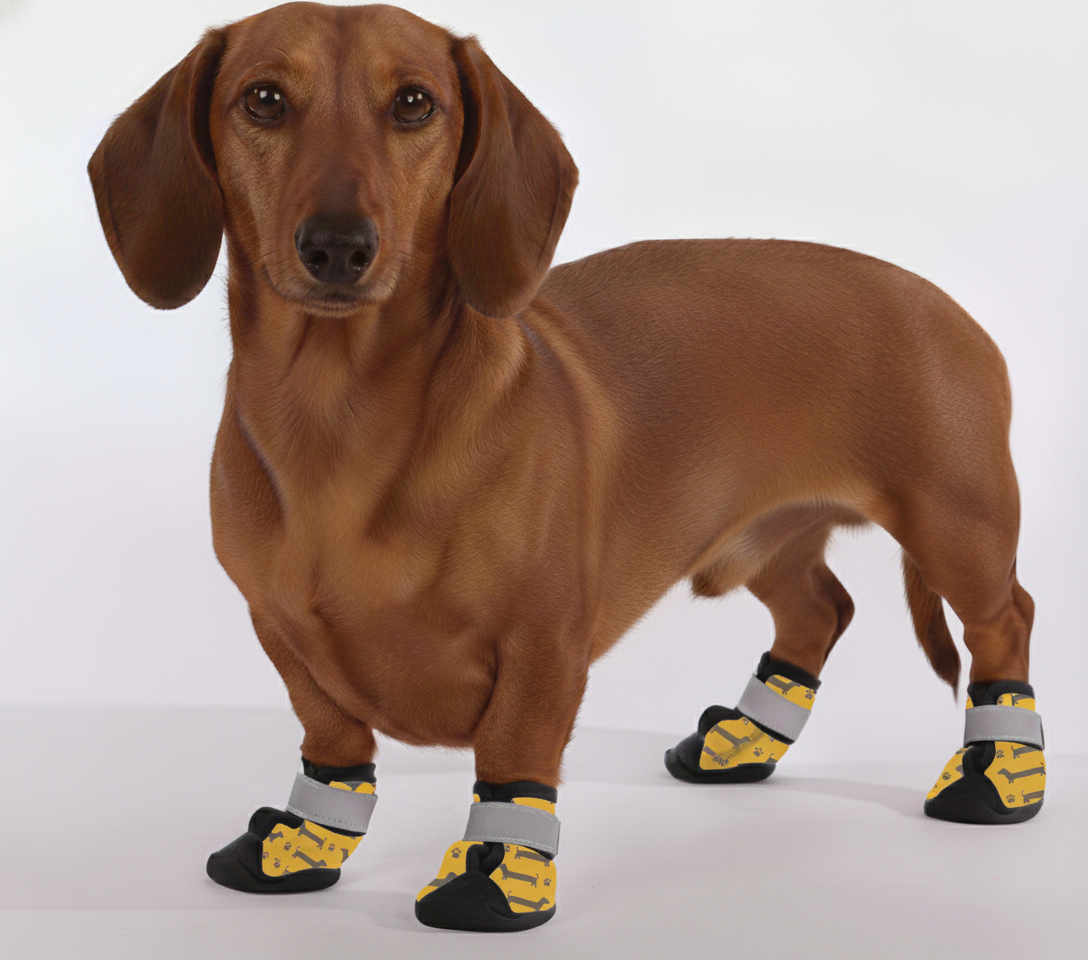 Miles – Premium Dachshund Winter Booties