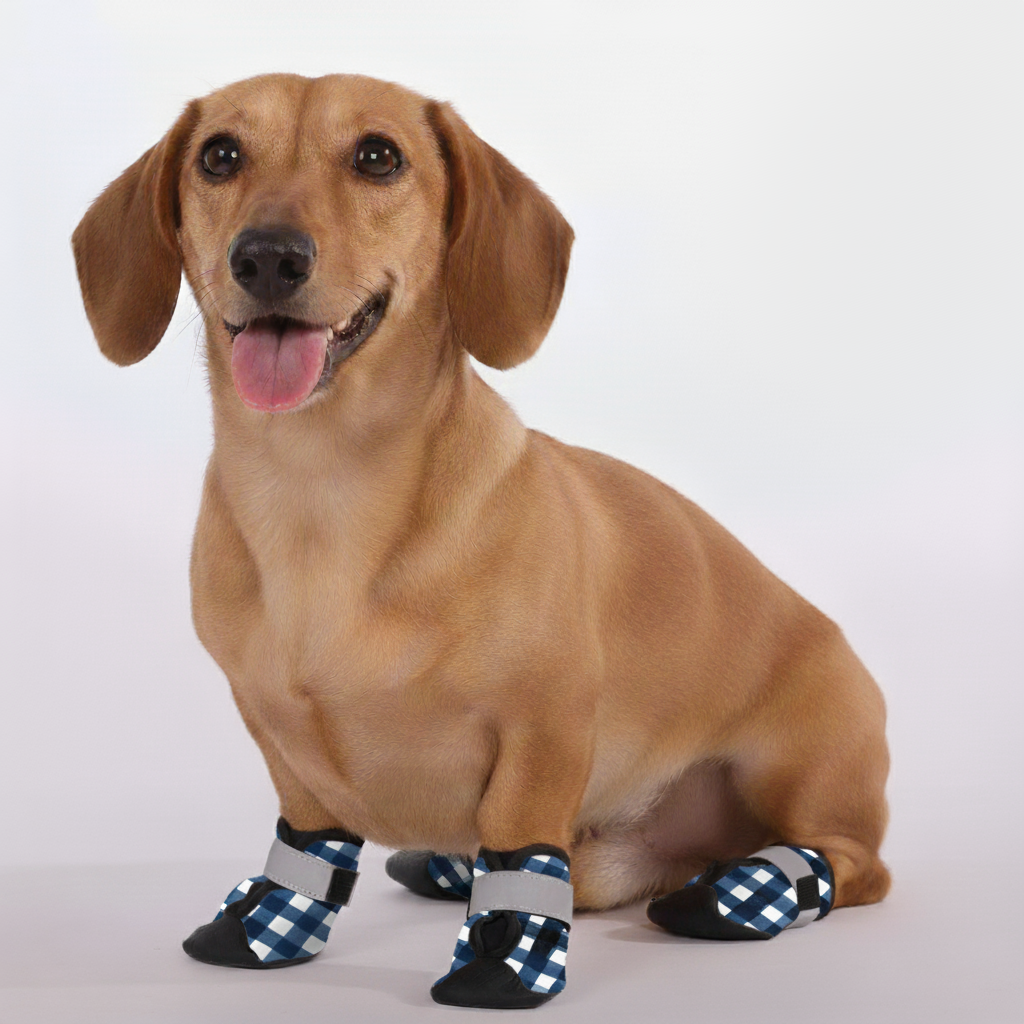 Dobby – Premium Dachshund Winter Booties