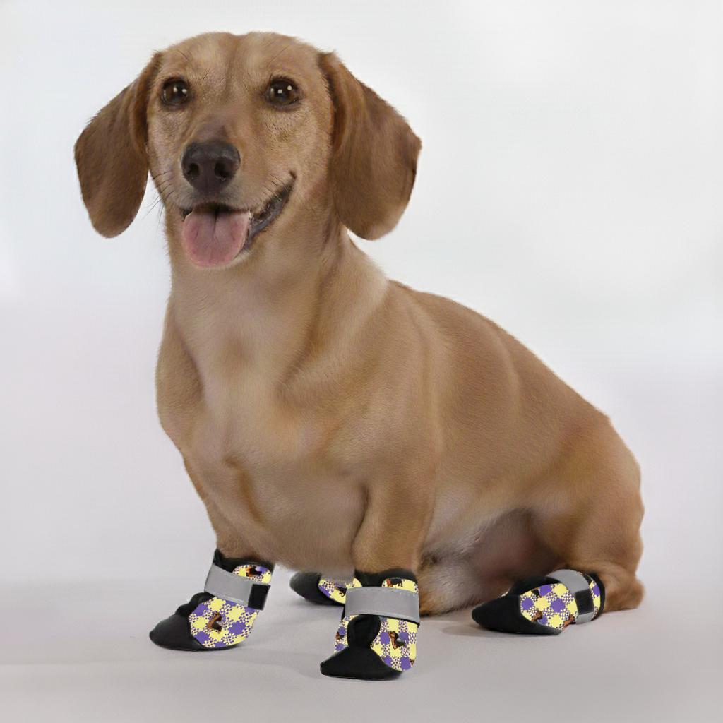 Luna – Premium Dachshund Winter Booties