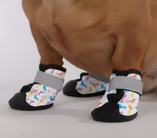 Heimdall – Premium Dachshund Winter Booties