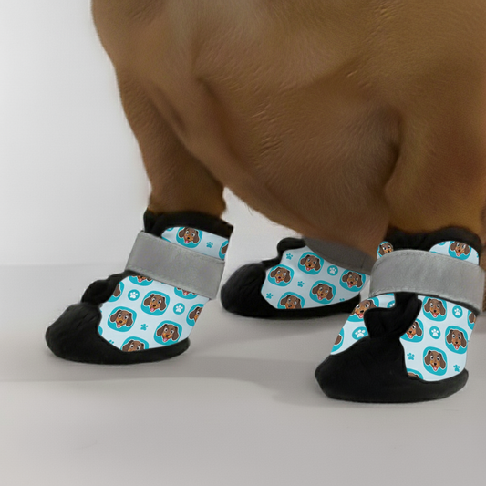 Hanker – Premium Dachshund Winter Booties