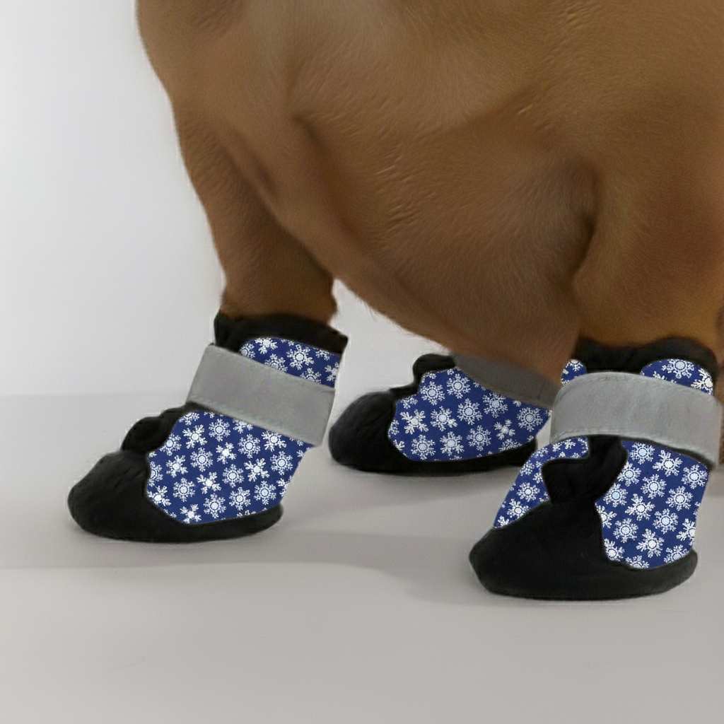 Molly – Premium Dachshund Winter Booties