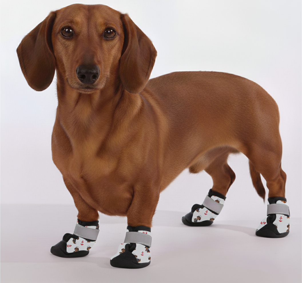 Balder – Premium Dachshund Winter Booties