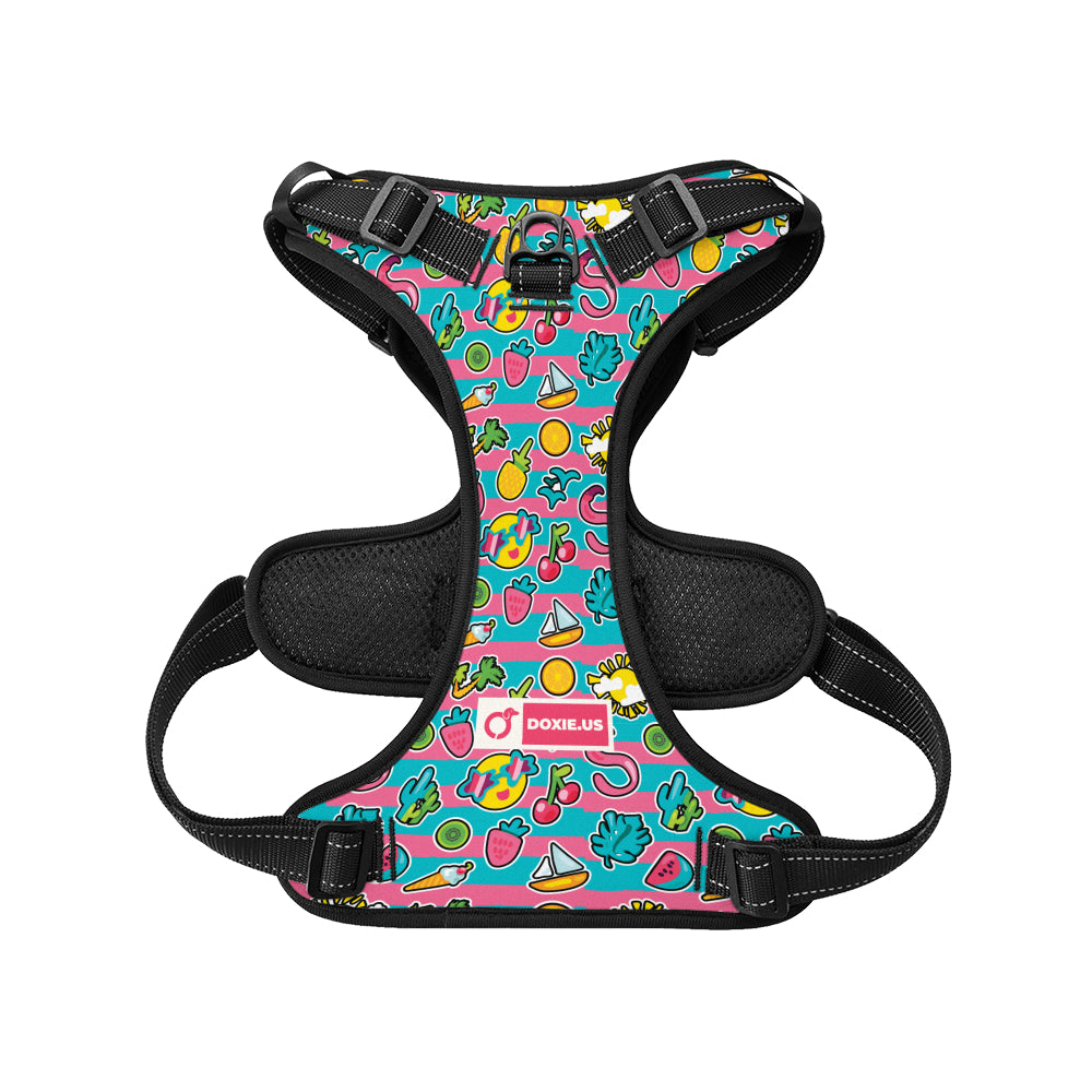 Franz - No-Pull Dachshund Dog Harness