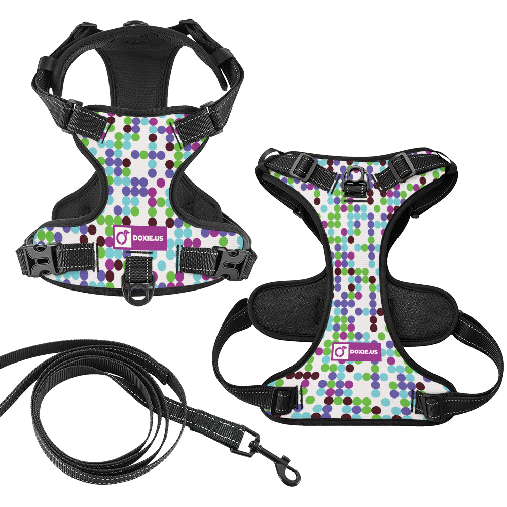 Duke - No-Pull Dachshund Dog Harness