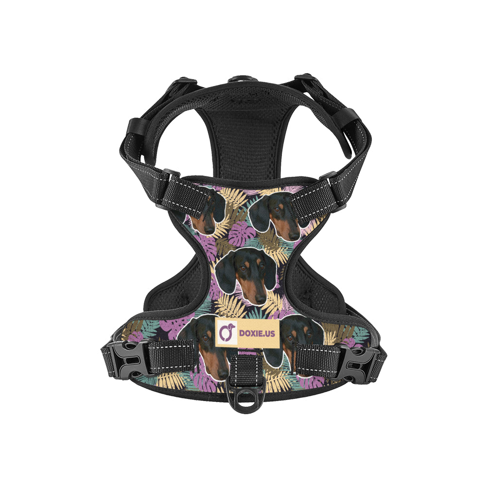 Earl - Personalized No-Pull Dachshund Dog Harness