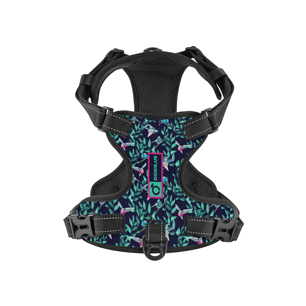 Sophie - No-Pull Dachshund Dog Harness