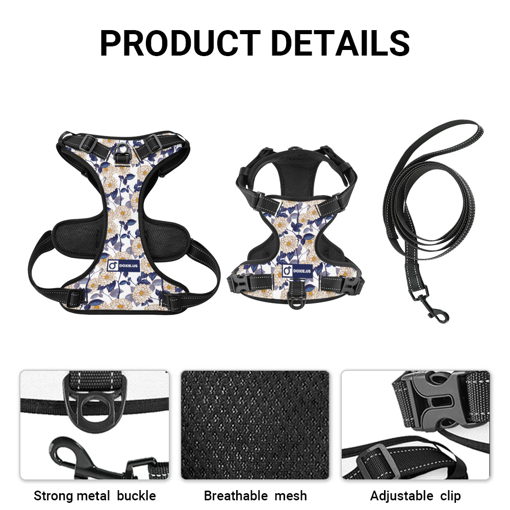 Joey - No-Pull Dachshund Dog Harness