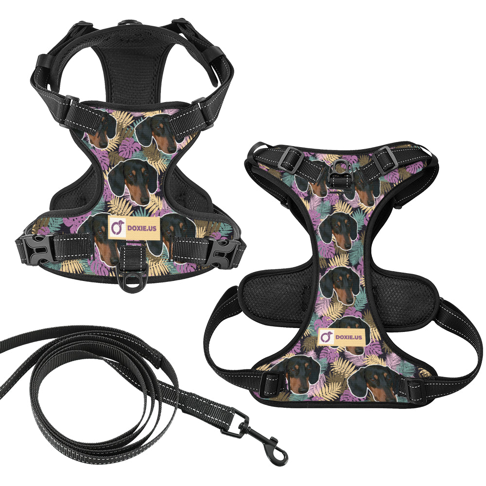 Earl - Personalized No-Pull Dachshund Dog Harness