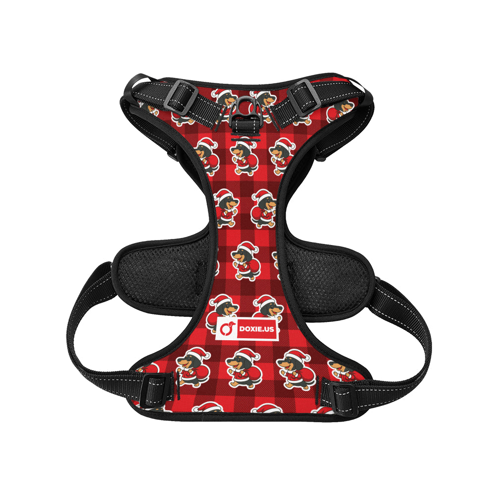 Tom - No-Pull Dachshund Dog Harness