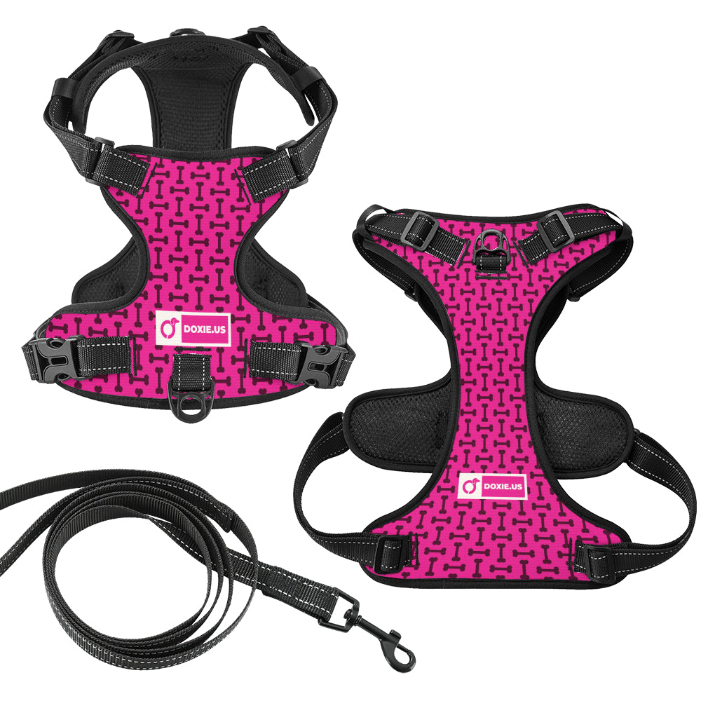 Waffles - No-Pull Dachshund Dog Harness