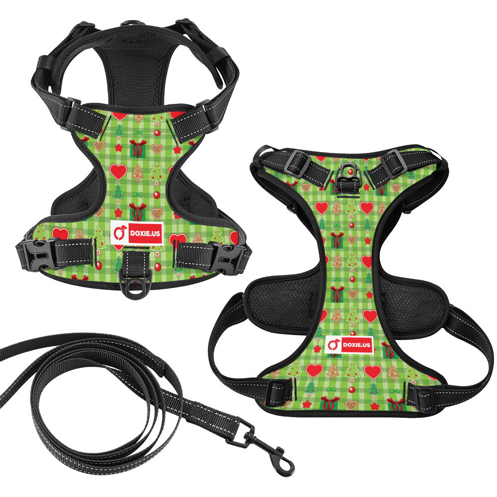 Alex - No-Pull Dachshund Dog Harness