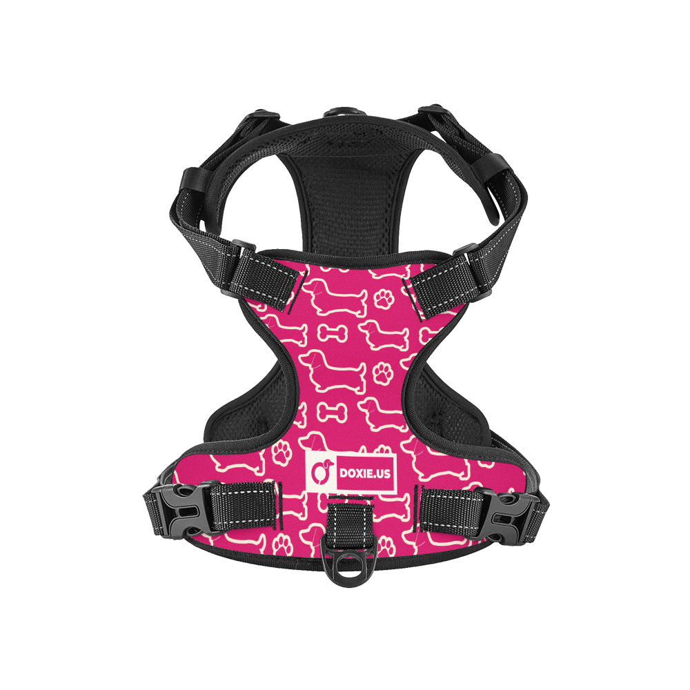 Rusty - No-Pull Dachshund Dog Harness
