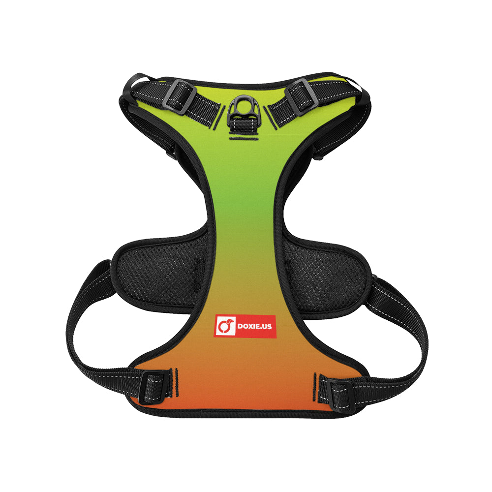Oskar - No-Pull Dachshund Dog Harness