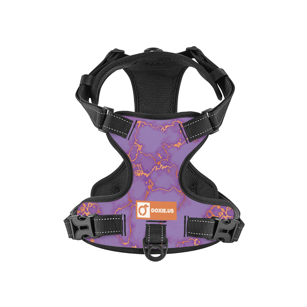 Buster - No-Pull Dachshund Dog Harness