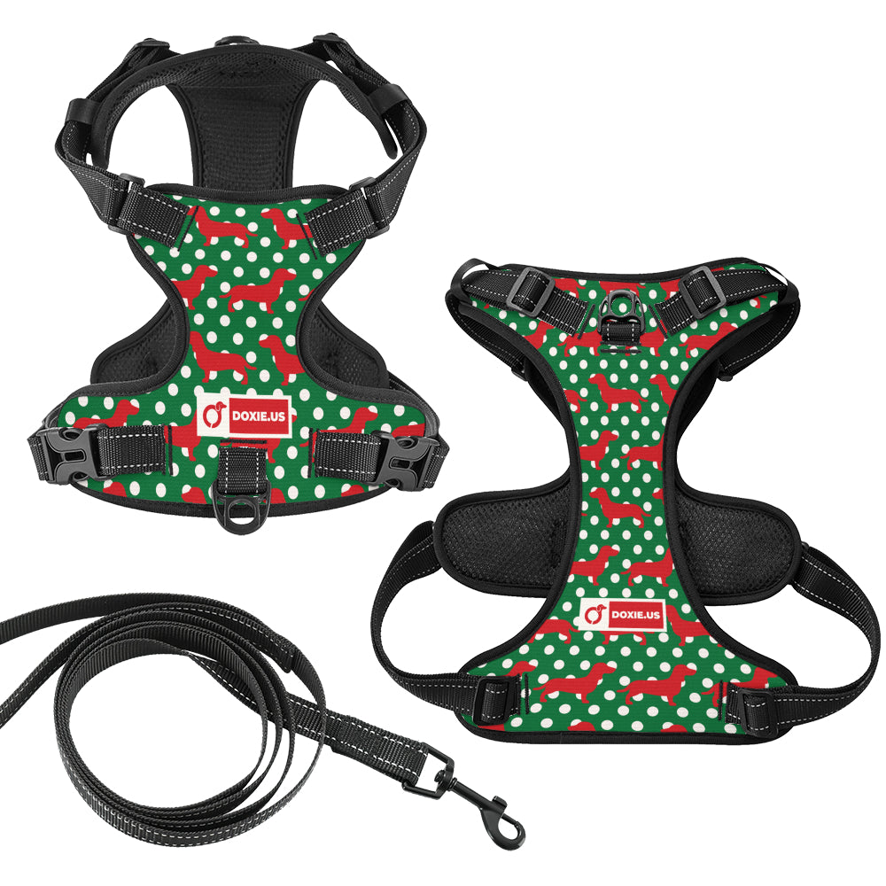Carly - No-Pull Dachshund Dog Harness