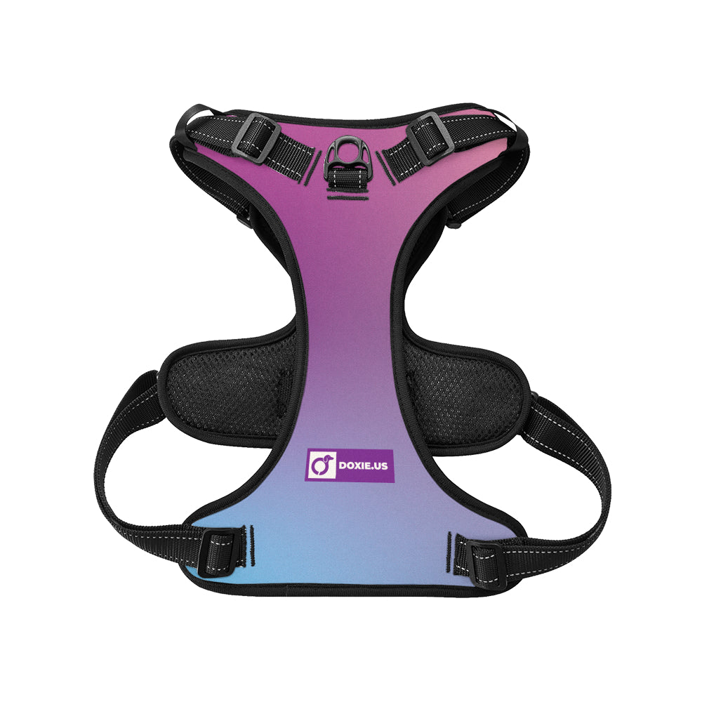 Simone - No-Pull Dachshund Dog Harness