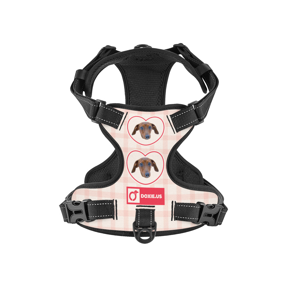 Juno - Personalized No-Pull Dachshund Dog Harness