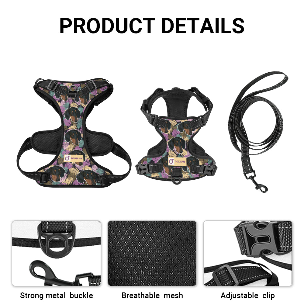 Earl - Personalized No-Pull Dachshund Dog Harness