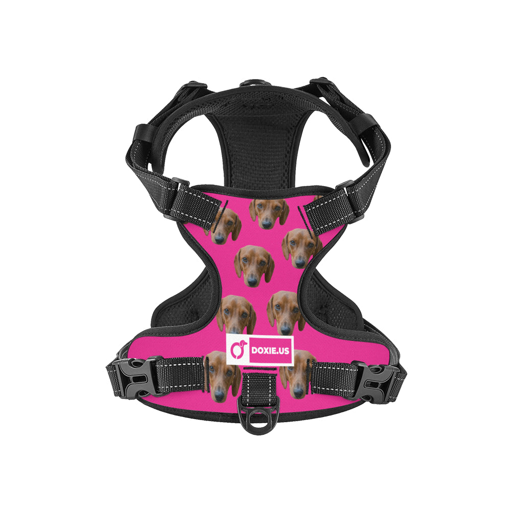 Gunner - Personalized No-Pull Dachshund Dog Harness