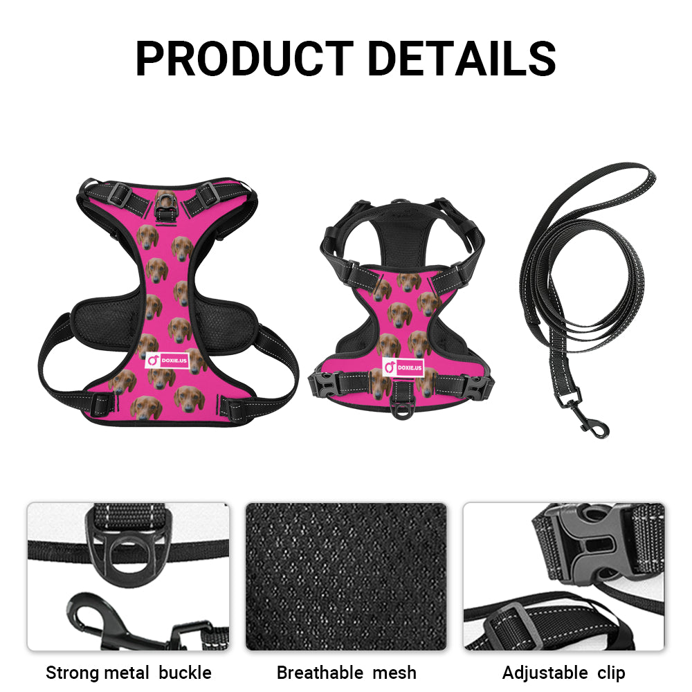 Gunner - Personalized No-Pull Dachshund Dog Harness
