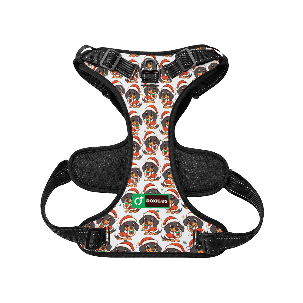 Kevin - No-Pull Dachshund Dog Harness