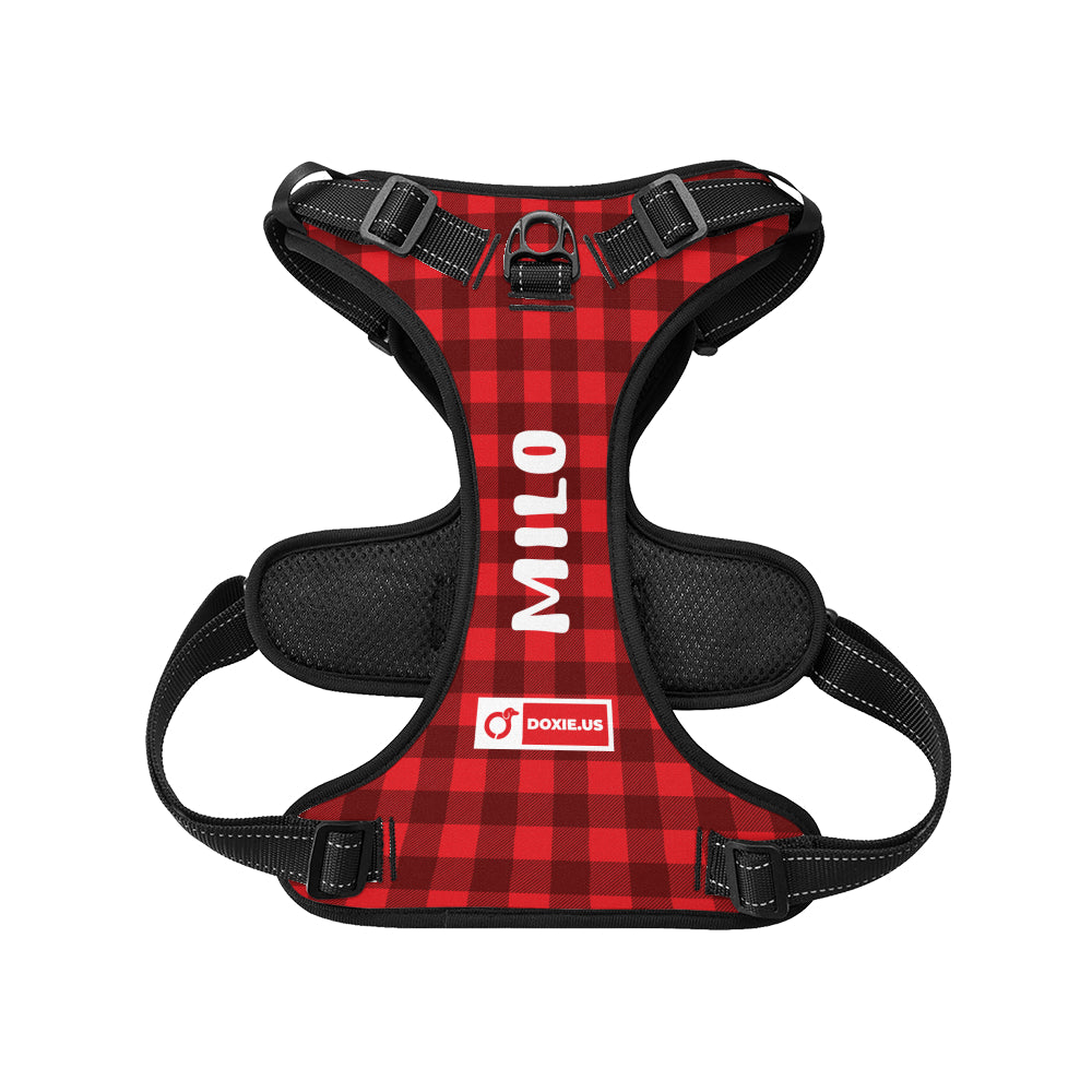 Lyra - Personalized No-Pull Dachshund Dog Harness
