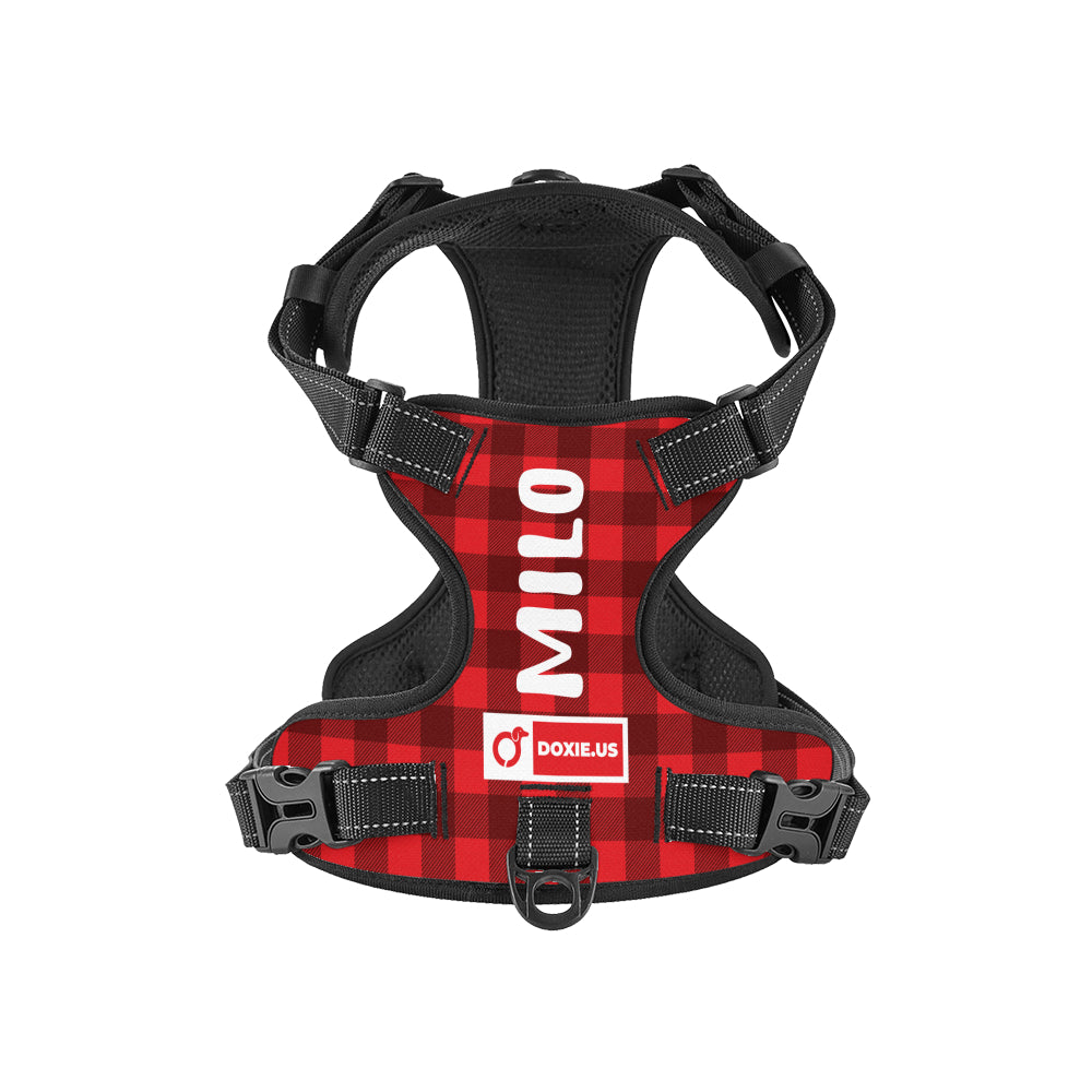Lyra - Personalized No-Pull Dachshund Dog Harness