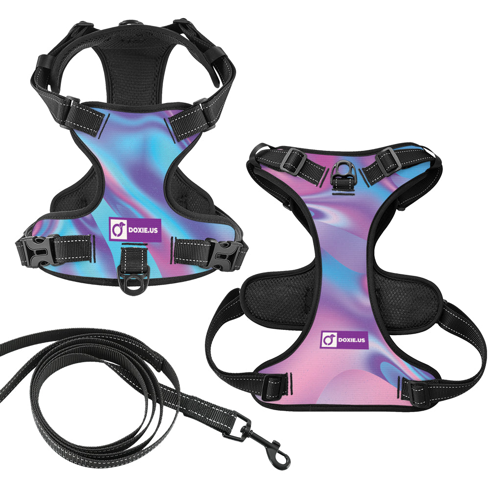Betty - No-Pull Dachshund Dog Harness